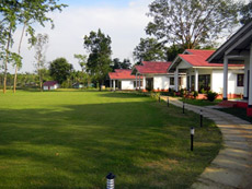 Kaziranga Golf Resort